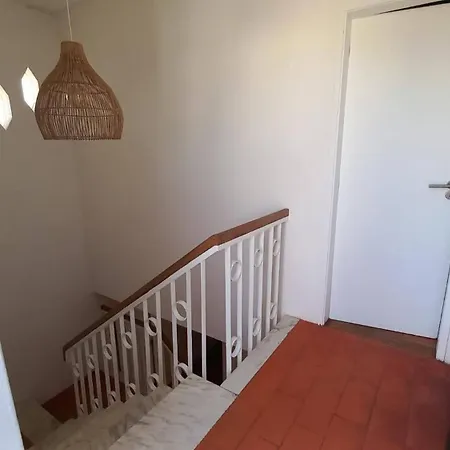 Um فيلة البوفيرا